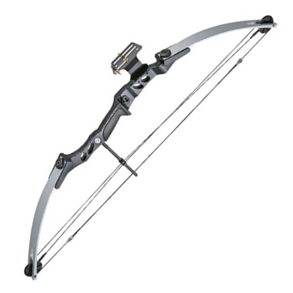 55 LBS 29" Draw Length Archery Hunting Compound Bow Speed 206FPS