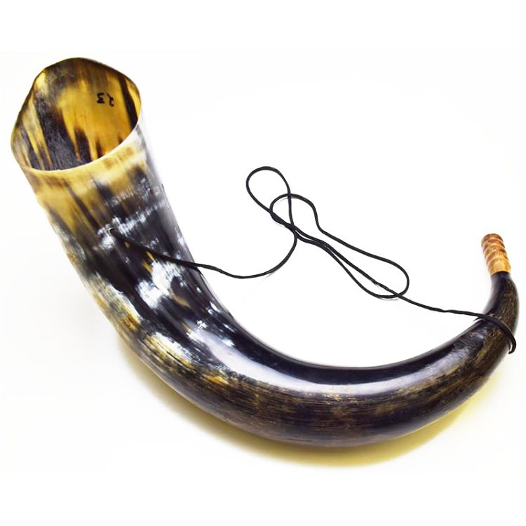 Natural Buffalo Horn Trumpet
